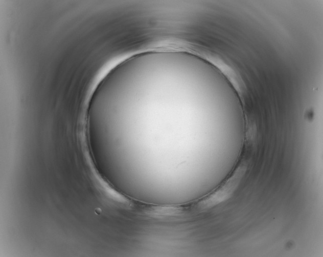 X0000102021486200808011412