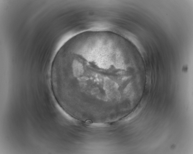 X0000102021487200808011412