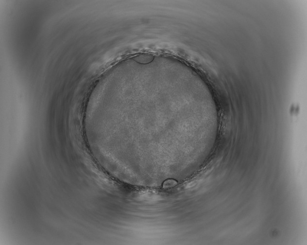 X0000102021489200808011411