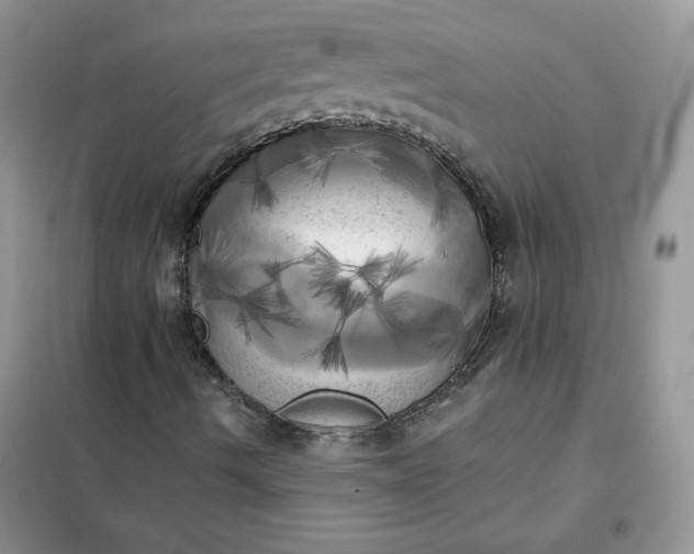X0000102021490200808011411