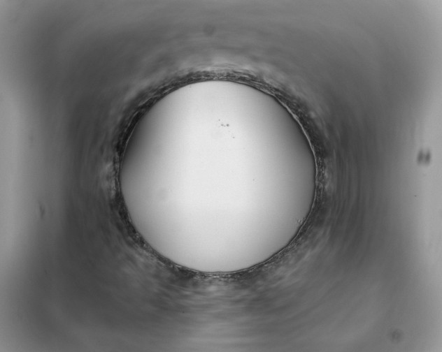 X0000102021493200808011411