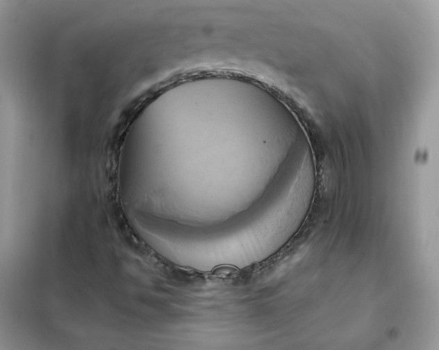 X0000102021494200808011411