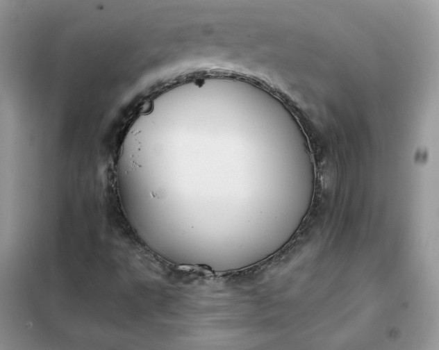 X0000102021495200808011411