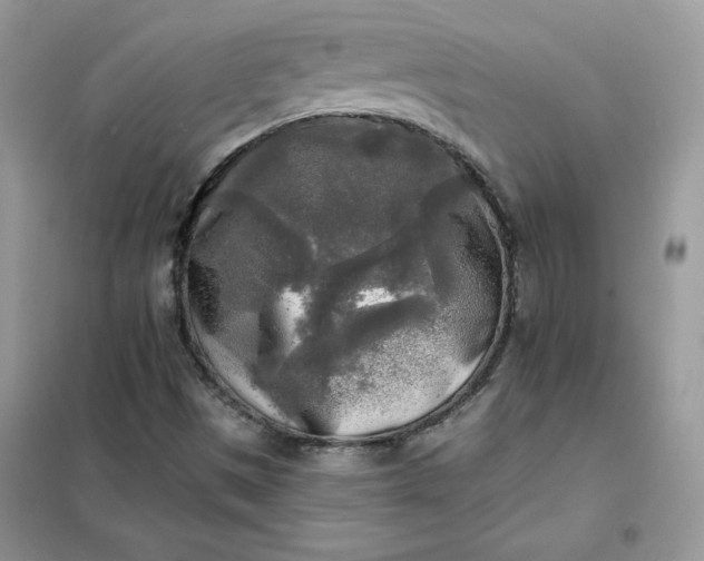 X0000102021497200808011411