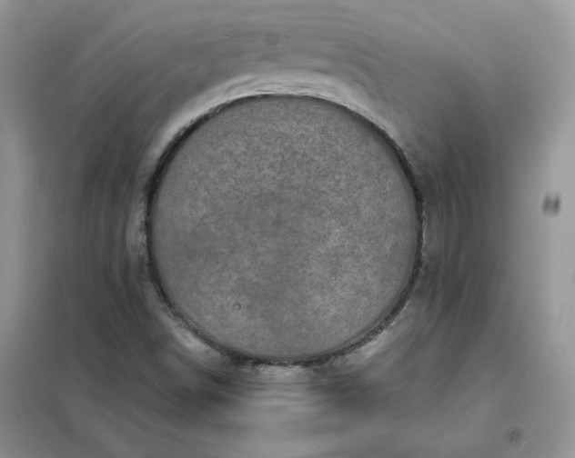 X0000102021498200808011411