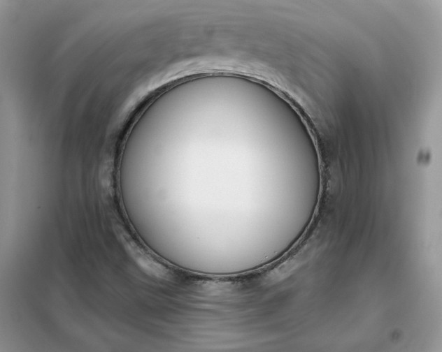 X0000102021499200808011411