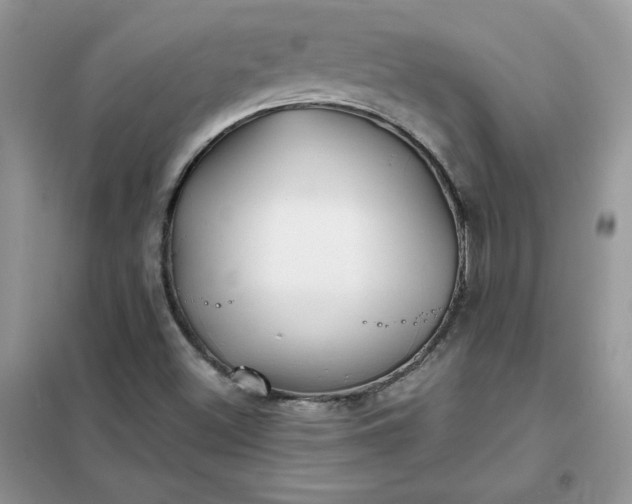 X0000102021500200808011411