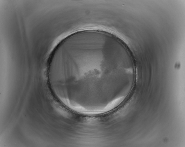 X0000102021501200808011411