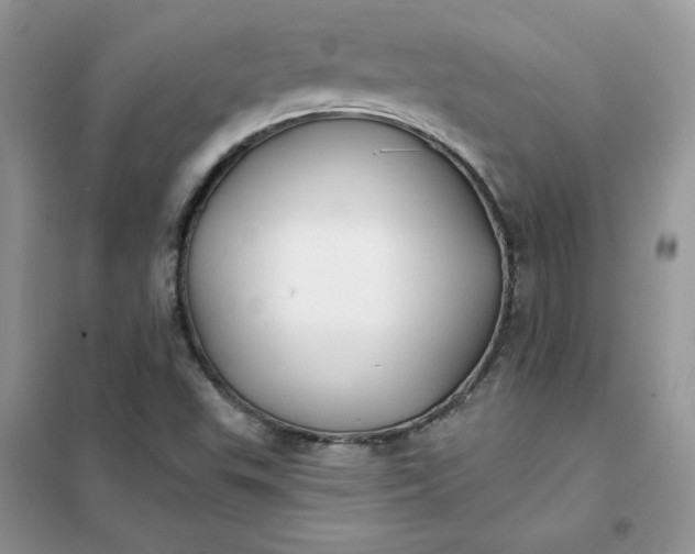 X0000102021503200808011411