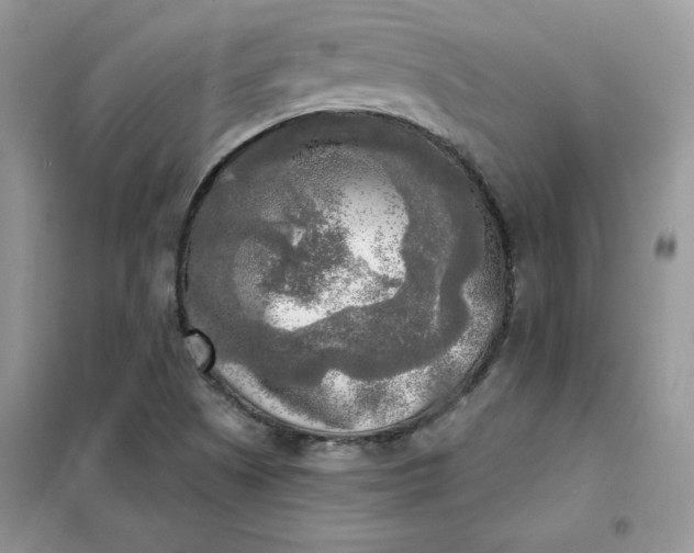 X0000102021505200808011411