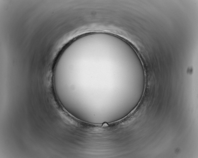 X0000102021507200808011411