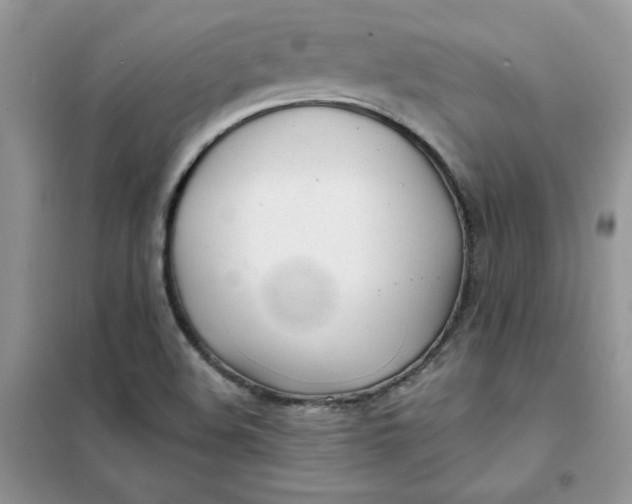 X0000102021508200808011411