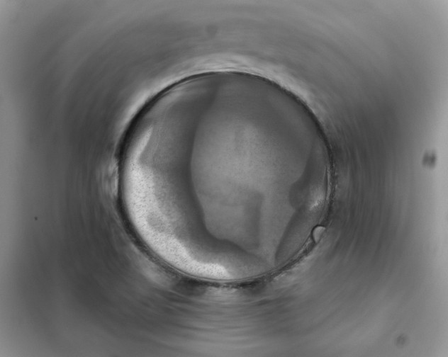X0000102021509200808011411