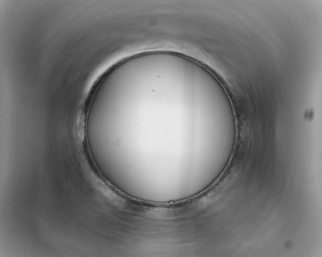X0000102021510200808011411