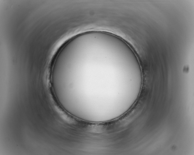 X0000102021511200808011411