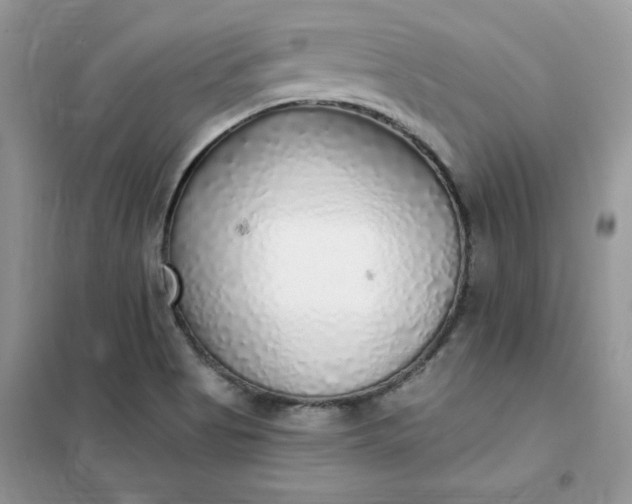 X0000102021513200808011411