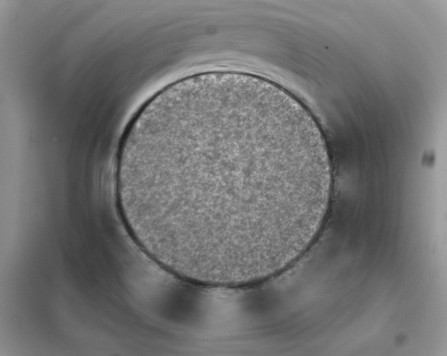 X0000102021514200808011411