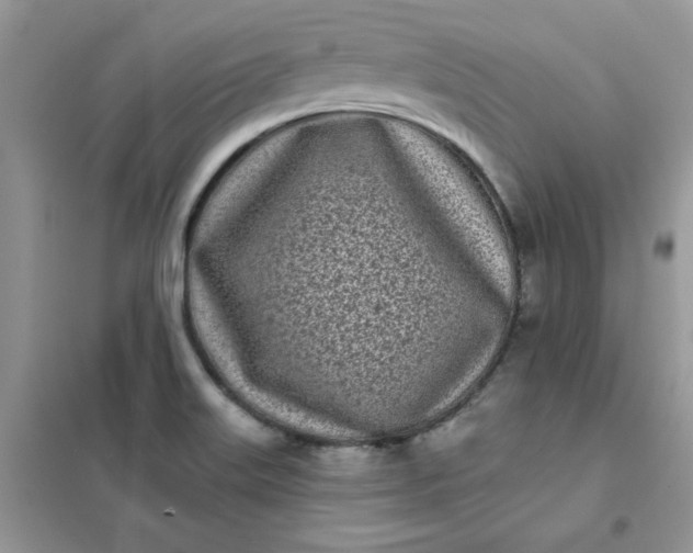 X0000102021515200808011411