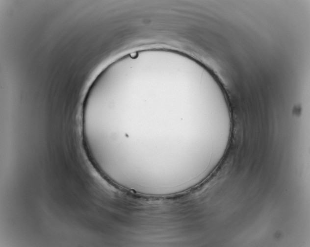 X0000102021516200808011411