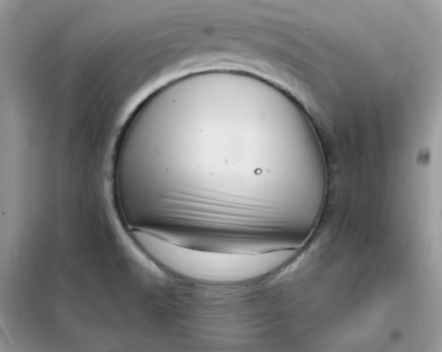 X0000102021518200808011411