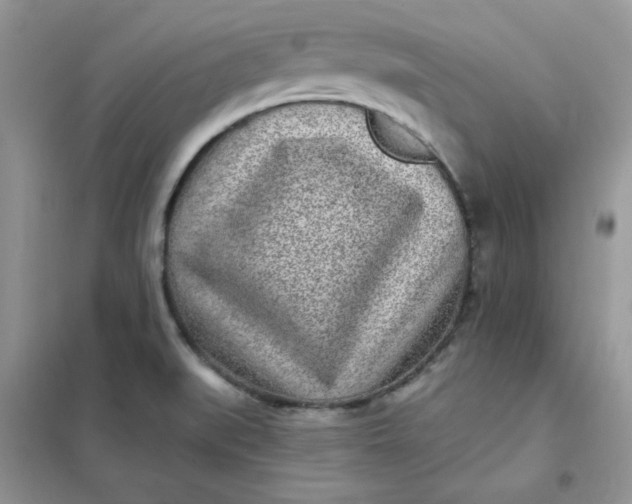 X0000102021519200808011411