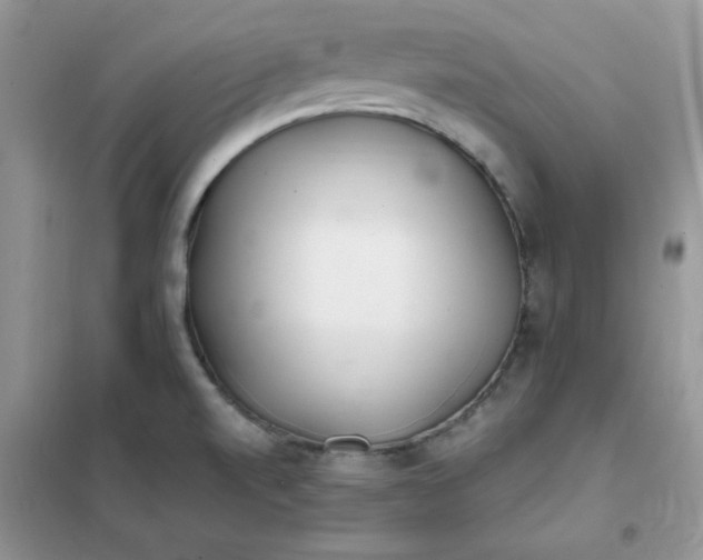 X0000102021520200808011411