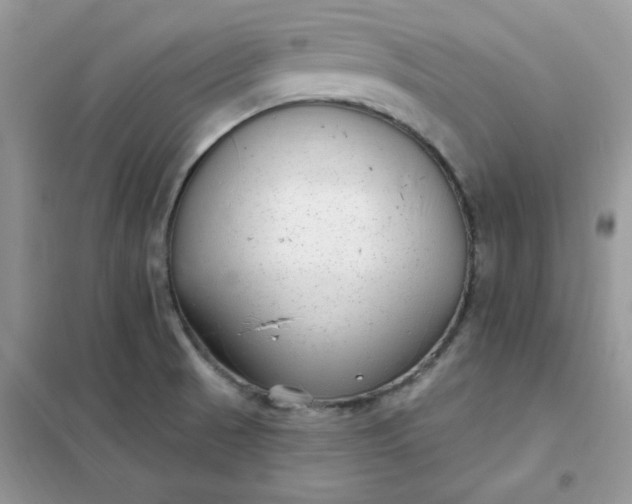 X0000102021521200808011412