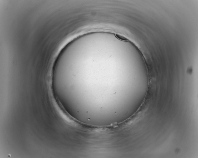 X0000102021523200808011412