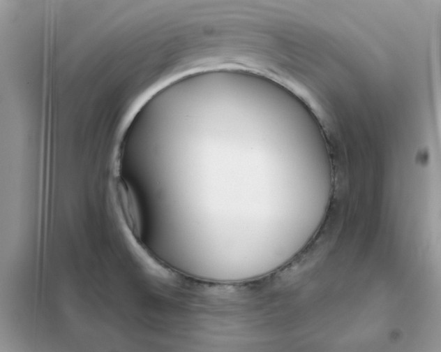 X0000102021524200808011412