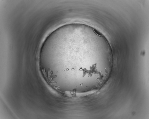 X0000102021525200808011412