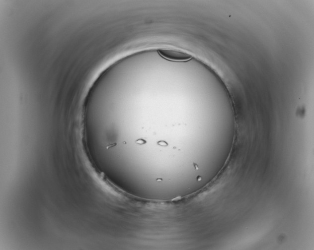 X0000102021526200808011412
