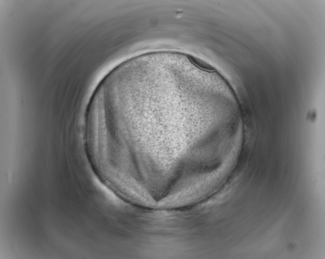 X0000102021527200808011412