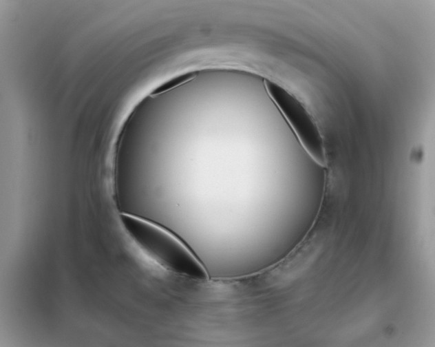 X0000102021528200808011412