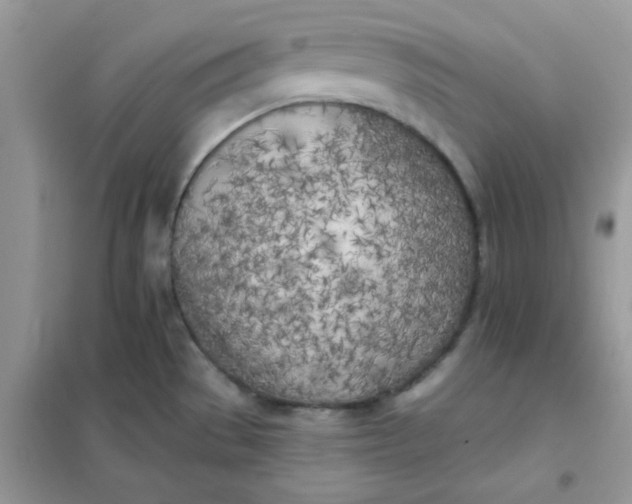 X0000102021529200808011412