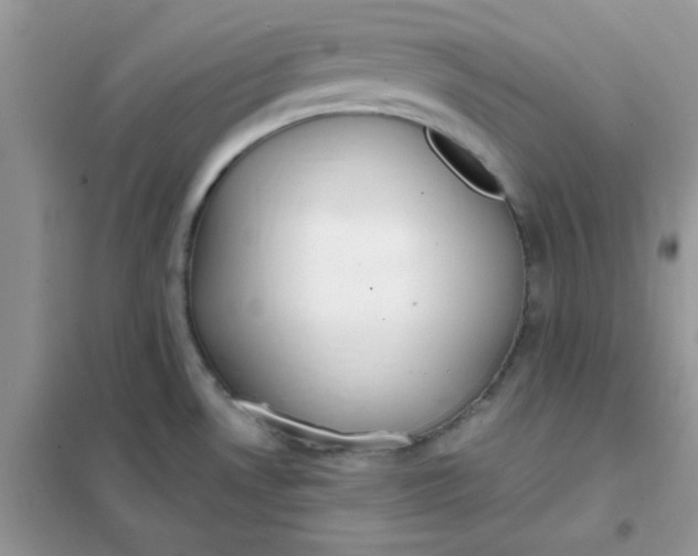 X0000102021530200808011412