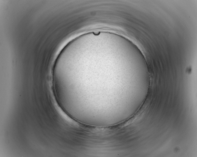 X0000102021531200808011412