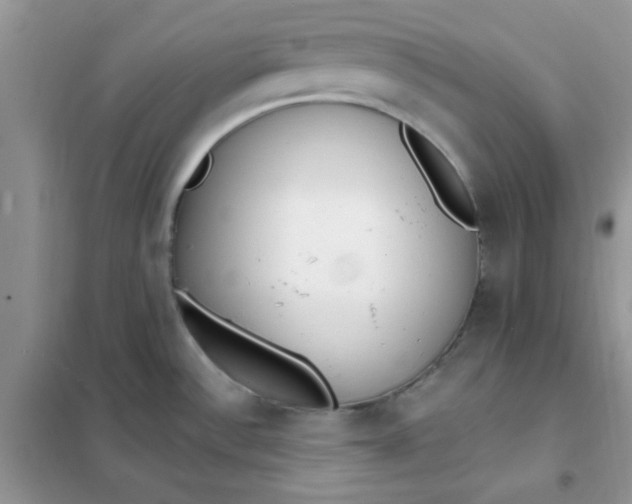 X0000102021532200808011412