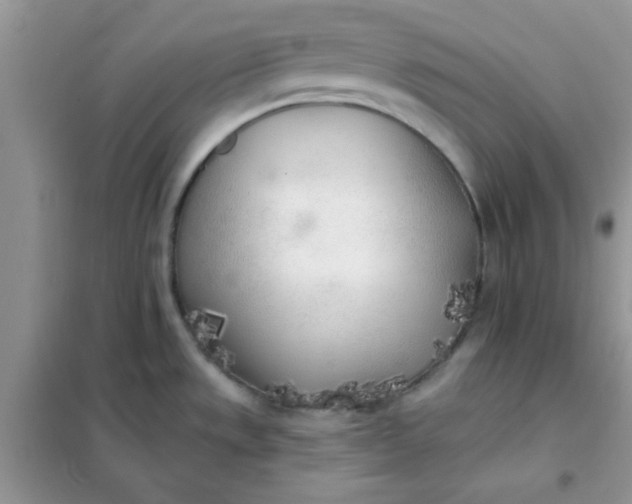 X0000102021533200808011412