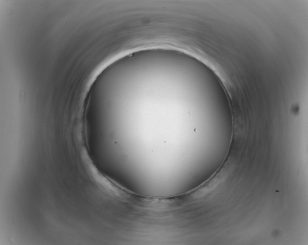 X0000102021534200808011412