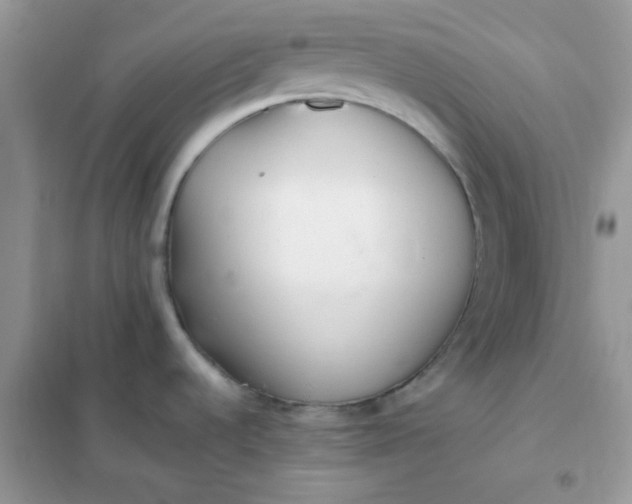 X0000102021536200808011412