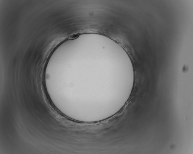X0000102020001200808081759