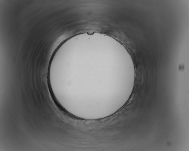 X0000102020003200808081759