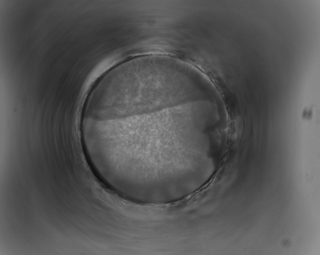 X0000102020004200808081759