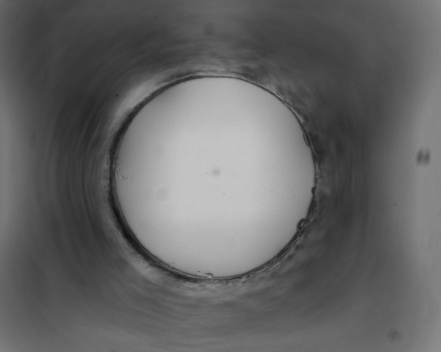 X0000102020005200808081759
