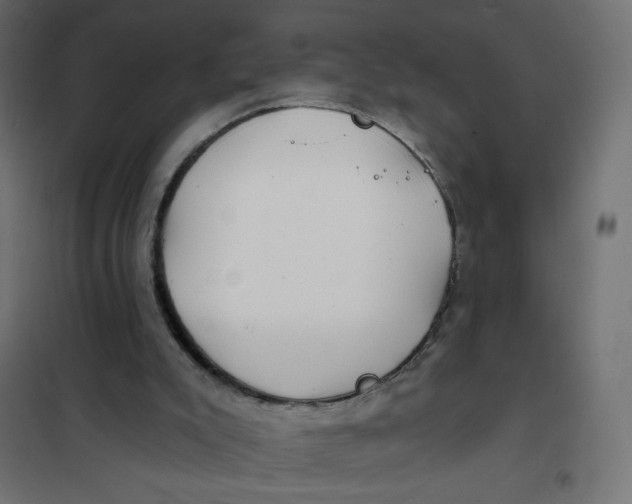 X0000102020007200808081759