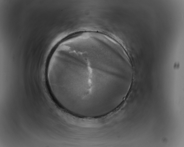 X0000102020008200808081759