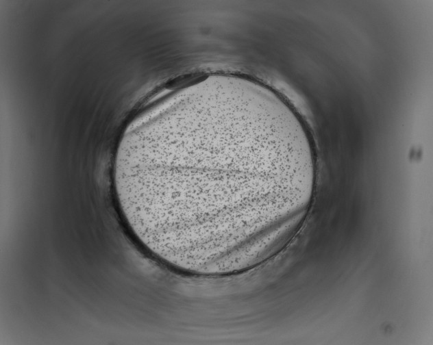 X0000102020009200808081759
