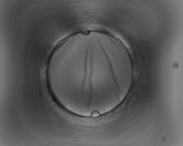 X0000102020010200808081759