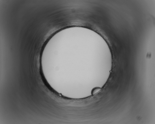 X0000102020011200808081759