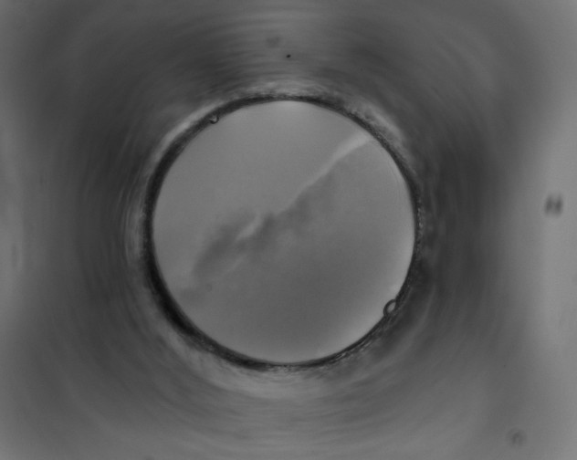 X0000102020012200808081759
